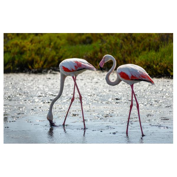 PHOTO84, CLUB, 84 , LUBERON